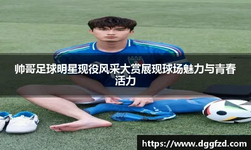 捷性又能